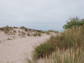 boulogne_brey-dune-4.jpg