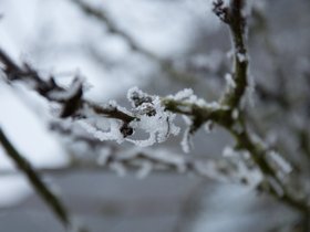 hiver-13.jpg